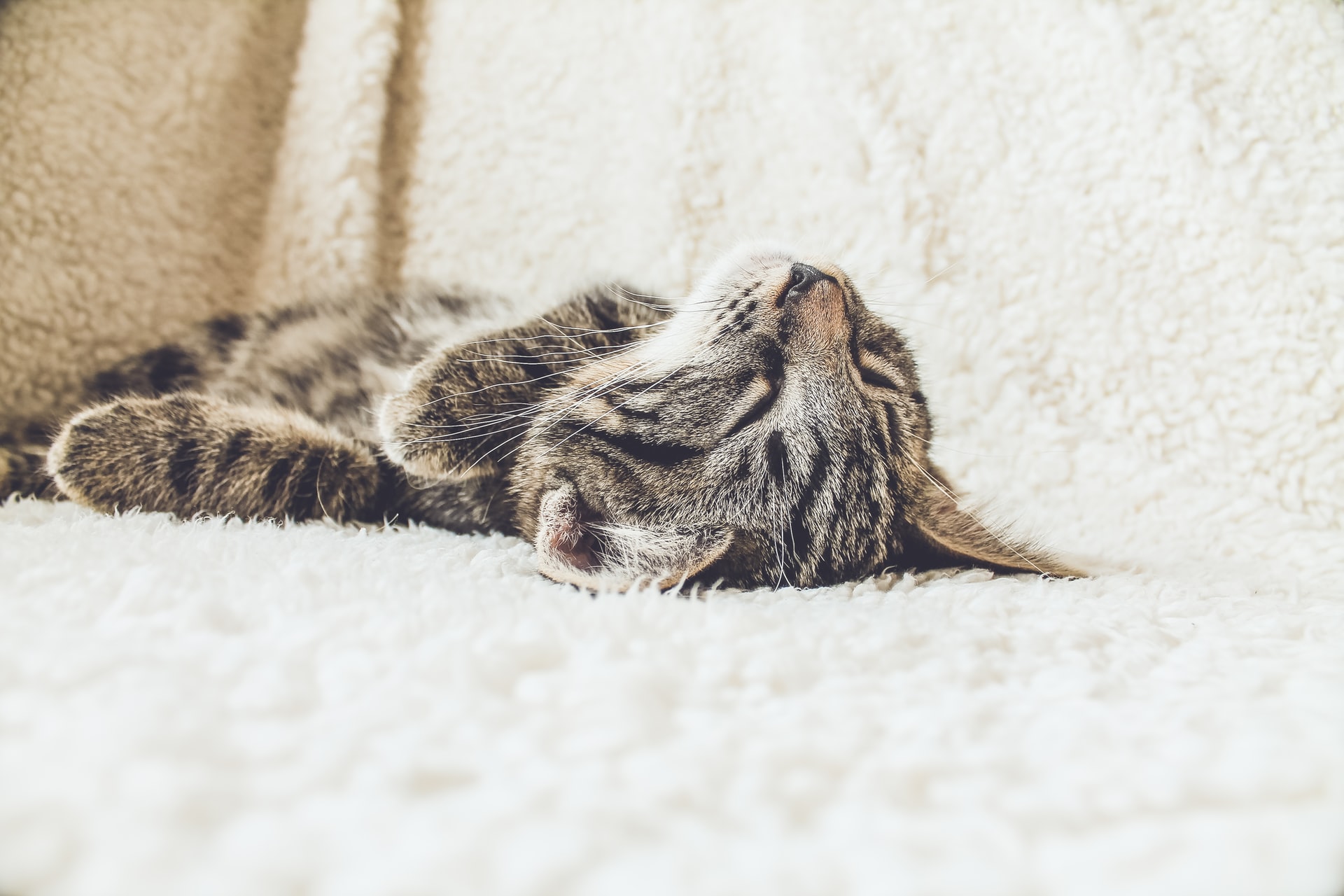 Lazy loading without JavaScript pure HTML feature image