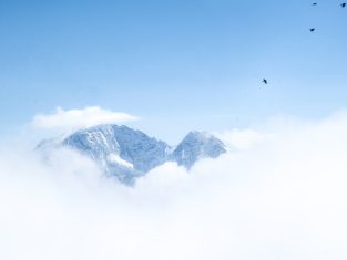 Higher-order array methods feature image