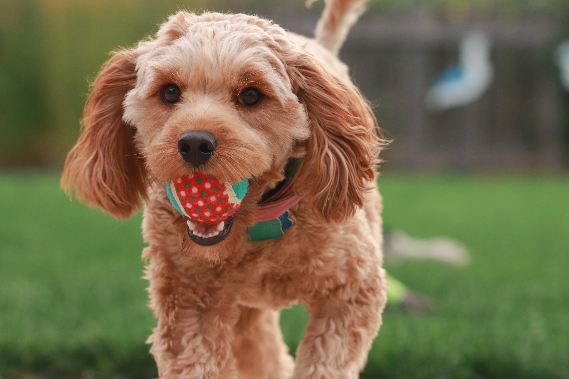 Fetch API GET POST PUT DELETE tutorial feature image