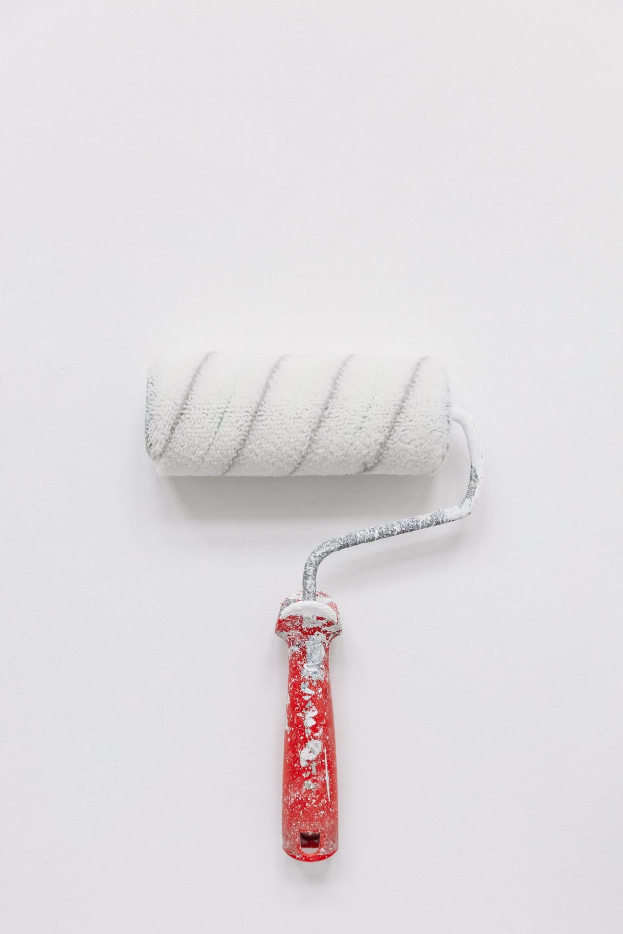 Paint roller