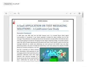 A user-selected PDF viewed in the browser