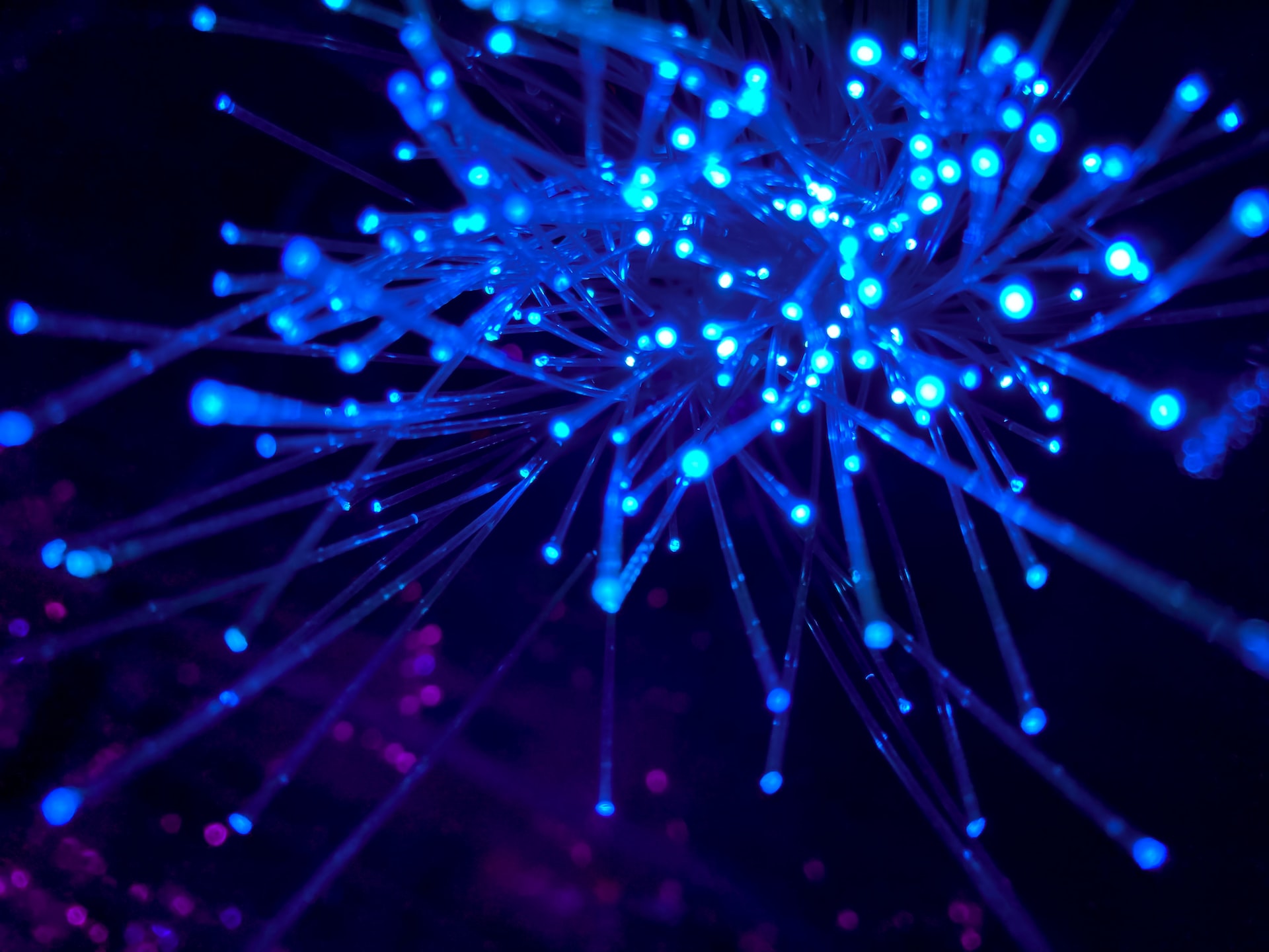 Internet cables