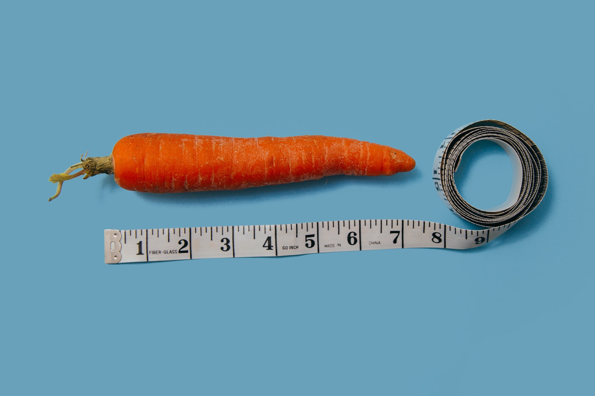 A carrot being measured